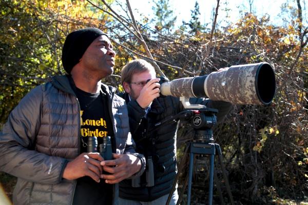 Life through an urban lens: introducing David Lindo, The Urban Birder