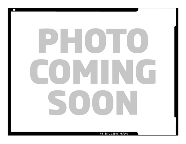 Burgundy Canvas / Chocolate Leather (Chocolate Lining)