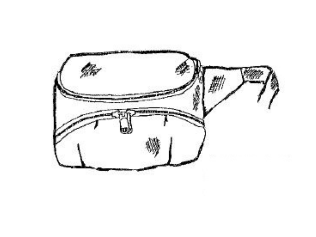 Protech 601 Video Bag - Billingham